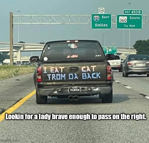 Cat Diddy | Lookin for a lady brave enough to pass on the right. | image tagged in funny | made w/ Imgflip meme maker