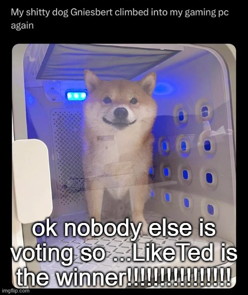 gniesbert | ok nobody else is voting so ...LikeTed is the winner!!!!!!!!!!!!!!!! | image tagged in gniesbert | made w/ Imgflip meme maker