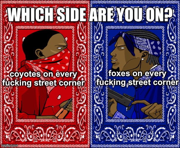 either way my outside cat is in danger | coyotes on every fucking street corner; foxes on every fucking street corner | image tagged in which side are you on | made w/ Imgflip meme maker