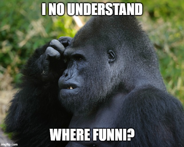Gorilla Scratching Head | I NO UNDERSTAND WHERE FUNNI? | image tagged in gorilla scratching head | made w/ Imgflip meme maker