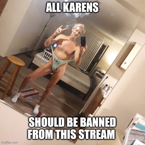 Imgflip Karens... | ALL KARENS; SHOULD BE BANNED FROM THIS STREAM | image tagged in karen | made w/ Imgflip meme maker