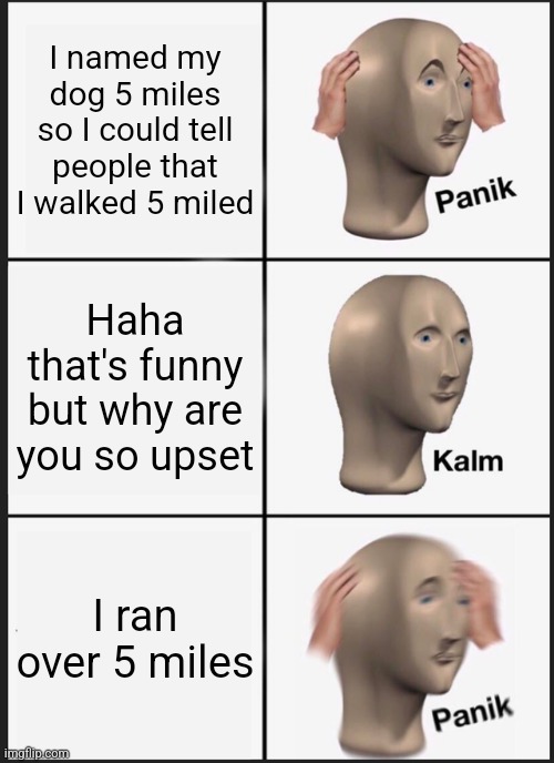 Average conversation | I named my dog 5 miles so I could tell people that I walked 5 miled; Haha that's funny but why are you so upset; I ran over 5 miles | image tagged in memes,panik kalm panik | made w/ Imgflip meme maker