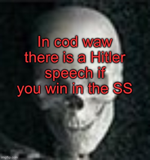 wtf | In cod waw there is a Hitler speech if you win in the SS | image tagged in skull | made w/ Imgflip meme maker