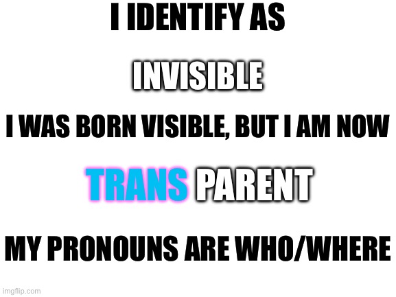 Happy pride month <3 | I IDENTIFY AS; INVISIBLE; I WAS BORN VISIBLE, BUT I AM NOW; PARENT; TRANS; MY PRONOUNS ARE WHO/WHERE | image tagged in blank white template | made w/ Imgflip meme maker