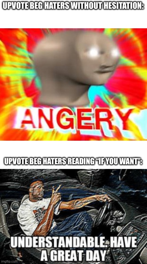 UPVOTE BEG HATERS WITHOUT HESITATION: UPVOTE BEG HATERS READING “IF YOU WANT”: | image tagged in surreal angery,understandable have a great day | made w/ Imgflip meme maker
