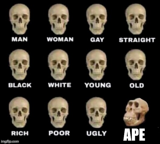 idiot skull | APE | image tagged in idiot skull | made w/ Imgflip meme maker