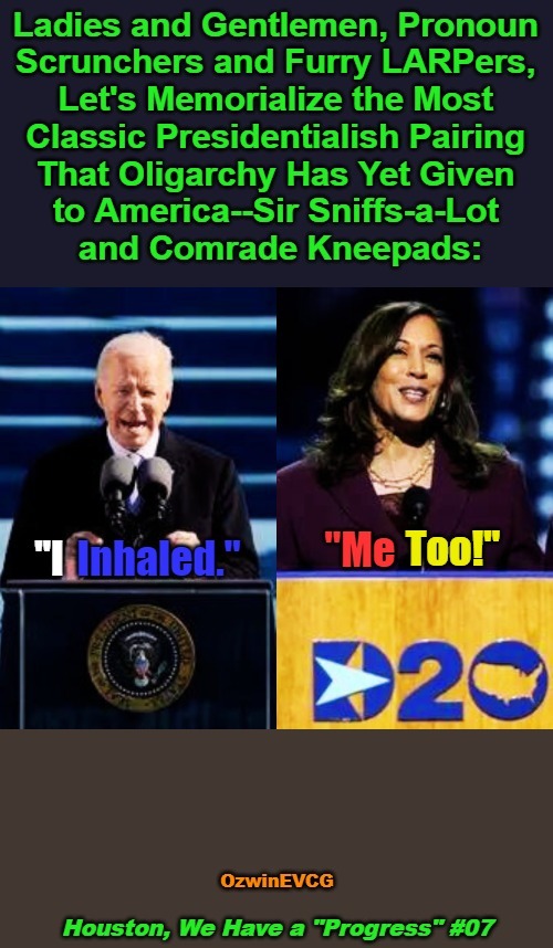 Houston, We Have a "Progress" #07 | image tagged in joe biden,sir sniffs-a-lot,kamala harris,comrade kneepads,occupied usa,houston we have a problem | made w/ Imgflip meme maker