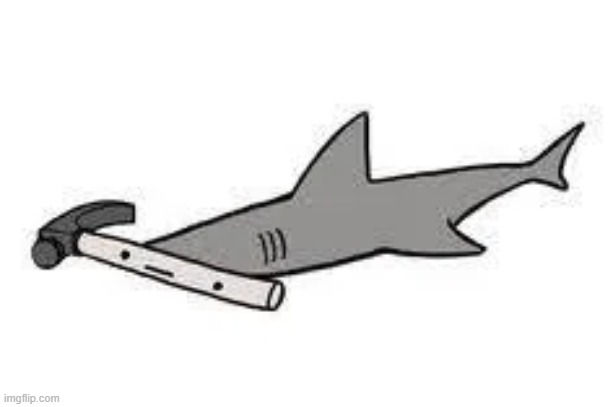 hammer head shark | made w/ Imgflip meme maker