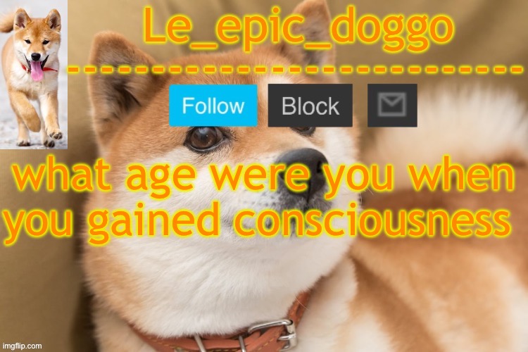 epic doggo's temp back in old fashion | what age were you when you gained consciousness | image tagged in epic doggo's temp back in old fashion | made w/ Imgflip meme maker