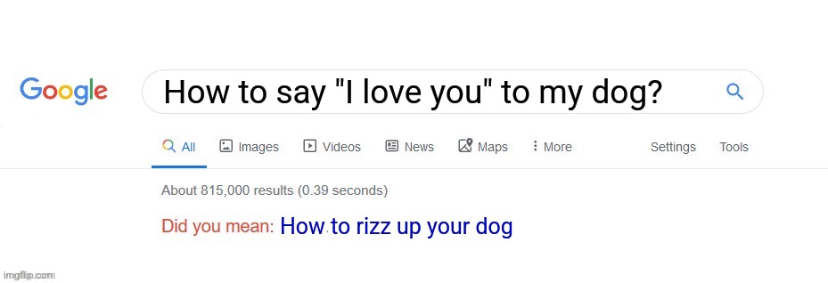 POV Gen Alpha controls Google | How to say "I love you" to my dog? How to rizz up your dog | image tagged in did you mean,google,dogs,communication | made w/ Imgflip meme maker