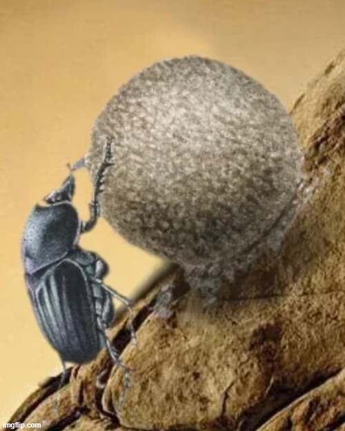 image tagged in dung beetle,sisyphus,one must imagine him happy | made w/ Imgflip meme maker