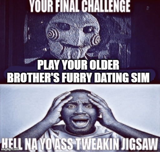 your final challenge | PLAY YOUR OLDER BROTHER'S FURRY DATING SIM | image tagged in your final challenge | made w/ Imgflip meme maker