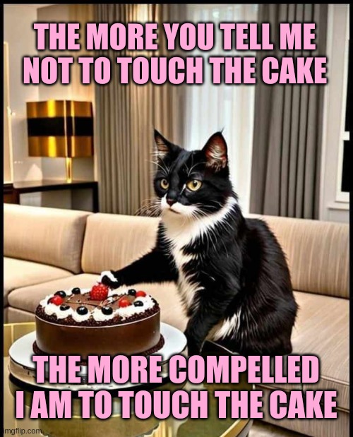 M paw has a mind of it's own | THE MORE YOU TELL ME
NOT TO TOUCH THE CAKE; THE MORE COMPELLED I AM TO TOUCH THE CAKE | image tagged in cat,cake,birthday cake,paw patrol,ninja cat,strawberry | made w/ Imgflip meme maker