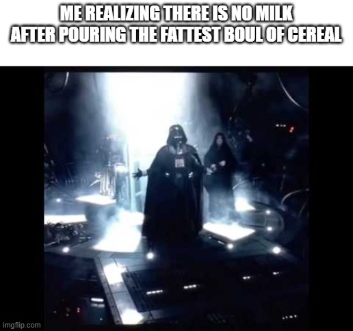 crying inside | ME REALIZING THERE IS NO MILK AFTER POURING THE FATTEST BOUL OF CEREAL | image tagged in nooooooooooooo,cereal | made w/ Imgflip meme maker