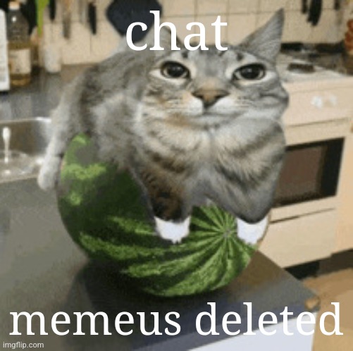 we did it | chat; memeus deleted | made w/ Imgflip meme maker