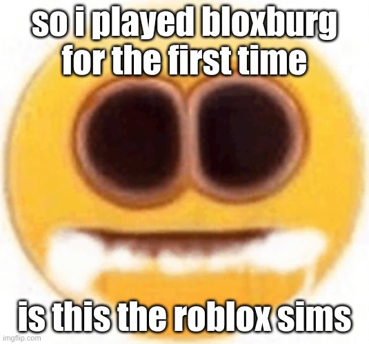 i mean its quite fun | so i played bloxburg for the first time; is this the roblox sims | image tagged in emoji foaming at the mouth | made w/ Imgflip meme maker