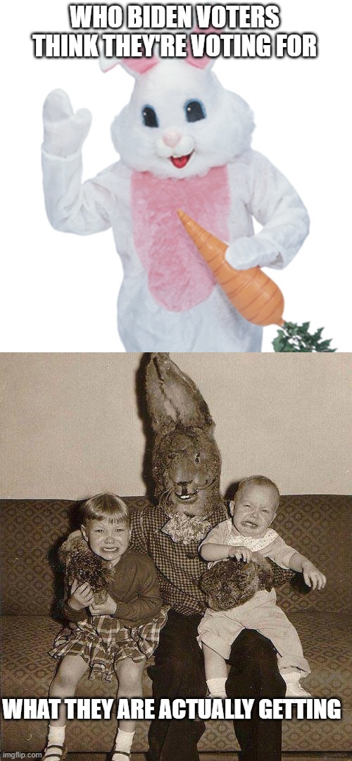 WHO BIDEN VOTERS THINK THEY'RE VOTING FOR WHAT THEY ARE ACTUALLY GETTING | image tagged in easter bunny,creepy easter bunny | made w/ Imgflip meme maker