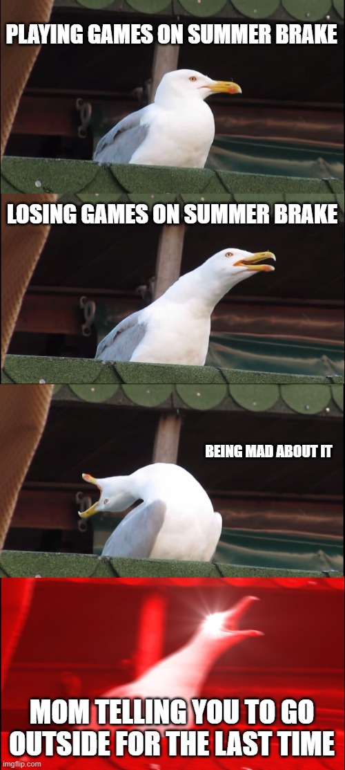 me on summer break | PLAYING GAMES ON SUMMER BRAKE; LOSING GAMES ON SUMMER BRAKE; BEING MAD ABOUT IT; MOM TELLING YOU TO GO OUTSIDE FOR THE LAST TIME | image tagged in memes,inhaling seagull | made w/ Imgflip meme maker