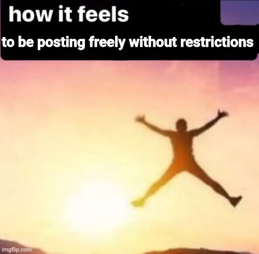 to be posting freely without restrictions | made w/ Imgflip meme maker