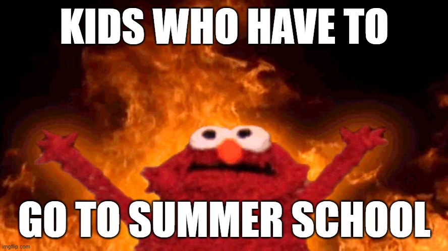 elmo fire | KIDS WHO HAVE TO; GO TO SUMMER SCHOOL | image tagged in elmo fire | made w/ Imgflip meme maker