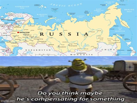 Putin, Do you want to tell us something? | image tagged in russia,shrek | made w/ Imgflip meme maker