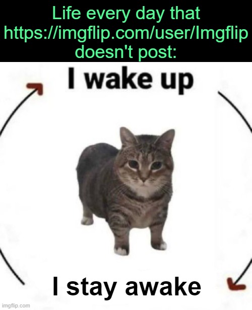 . | Life every day that https://imgflip.com/user/Imgflip doesn't post:; I stay awake | image tagged in i wake up cat | made w/ Imgflip meme maker