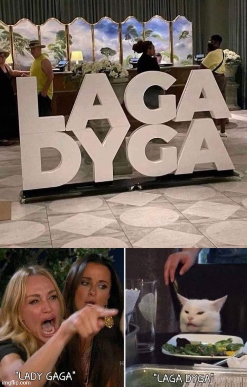 LADY GAGA or LAGA DYGA? | image tagged in lady gaga,laga dyga,memes,funny memes,lol,happy saturday | made w/ Imgflip meme maker