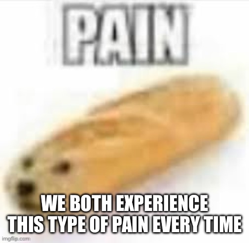 Pain bread | WE BOTH EXPERIENCE THIS TYPE OF PAIN EVERY TIME | image tagged in pain bread | made w/ Imgflip meme maker