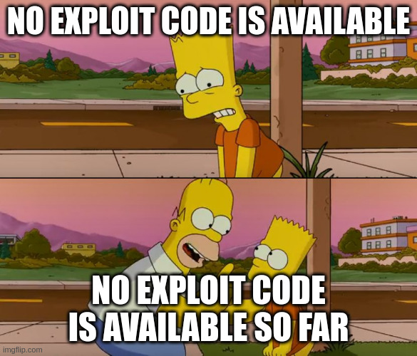 Simpsons so far | NO EXPLOIT CODE IS AVAILABLE; NO EXPLOIT CODE IS AVAILABLE SO FAR | image tagged in simpsons so far | made w/ Imgflip meme maker