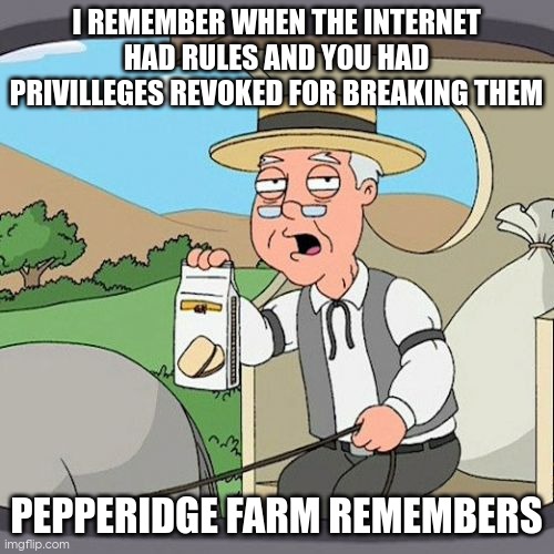 bring back ARPAnet rules and most mods of imgflip will disappear | I REMEMBER WHEN THE INTERNET HAD RULES AND YOU HAD PRIVILLEGES REVOKED FOR BREAKING THEM; PEPPERIDGE FARM REMEMBERS | image tagged in memes,pepperidge farm remembers | made w/ Imgflip meme maker