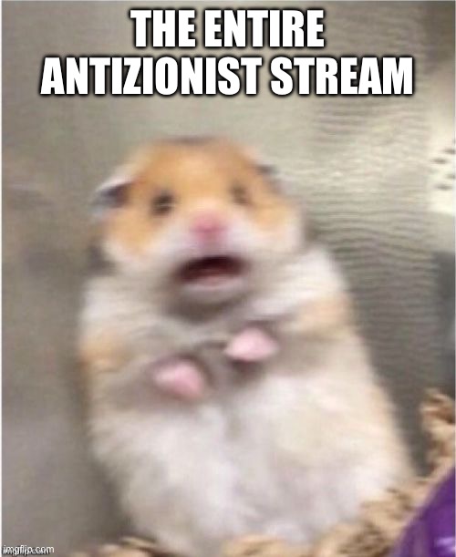 Scared Hamster | THE ENTIRE ANTIZIONIST STREAM | image tagged in scared hamster | made w/ Imgflip meme maker