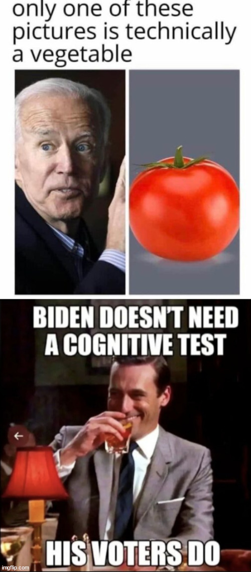 You know it's true | image tagged in you know it is true,biden,unfit for president,voters who cannot see it,lying to themselves | made w/ Imgflip meme maker