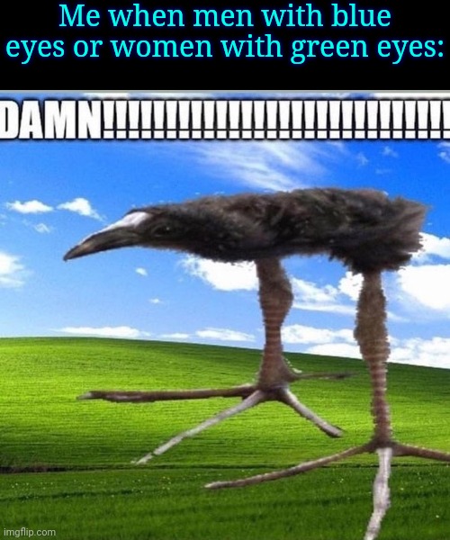 . | Me when men with blue eyes or women with green eyes: | image tagged in five posted this,damn | made w/ Imgflip meme maker