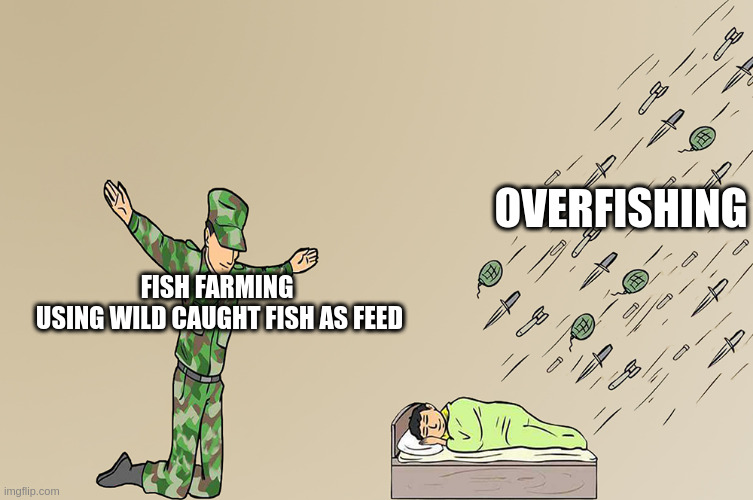 Plus other environmental damage as well :/ | OVERFISHING; FISH FARMING 
USING WILD CAUGHT FISH AS FEED | image tagged in soilder not protecting child meme,environment,fishing,capitalism,farming,consumerism | made w/ Imgflip meme maker