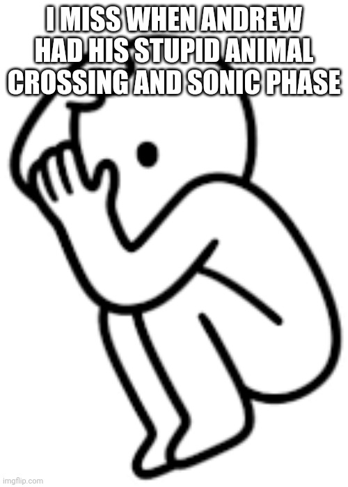 Blshblaslbblhlsllbhg | I MISS WHEN ANDREW HAD HIS STUPID ANIMAL CROSSING AND SONIC PHASE | image tagged in blshblaslbblhlsllbhg | made w/ Imgflip meme maker