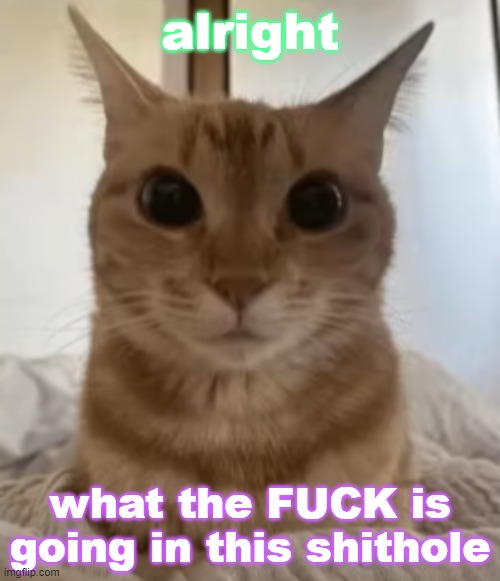 alright; what the FUCK is going in this shithole | made w/ Imgflip meme maker