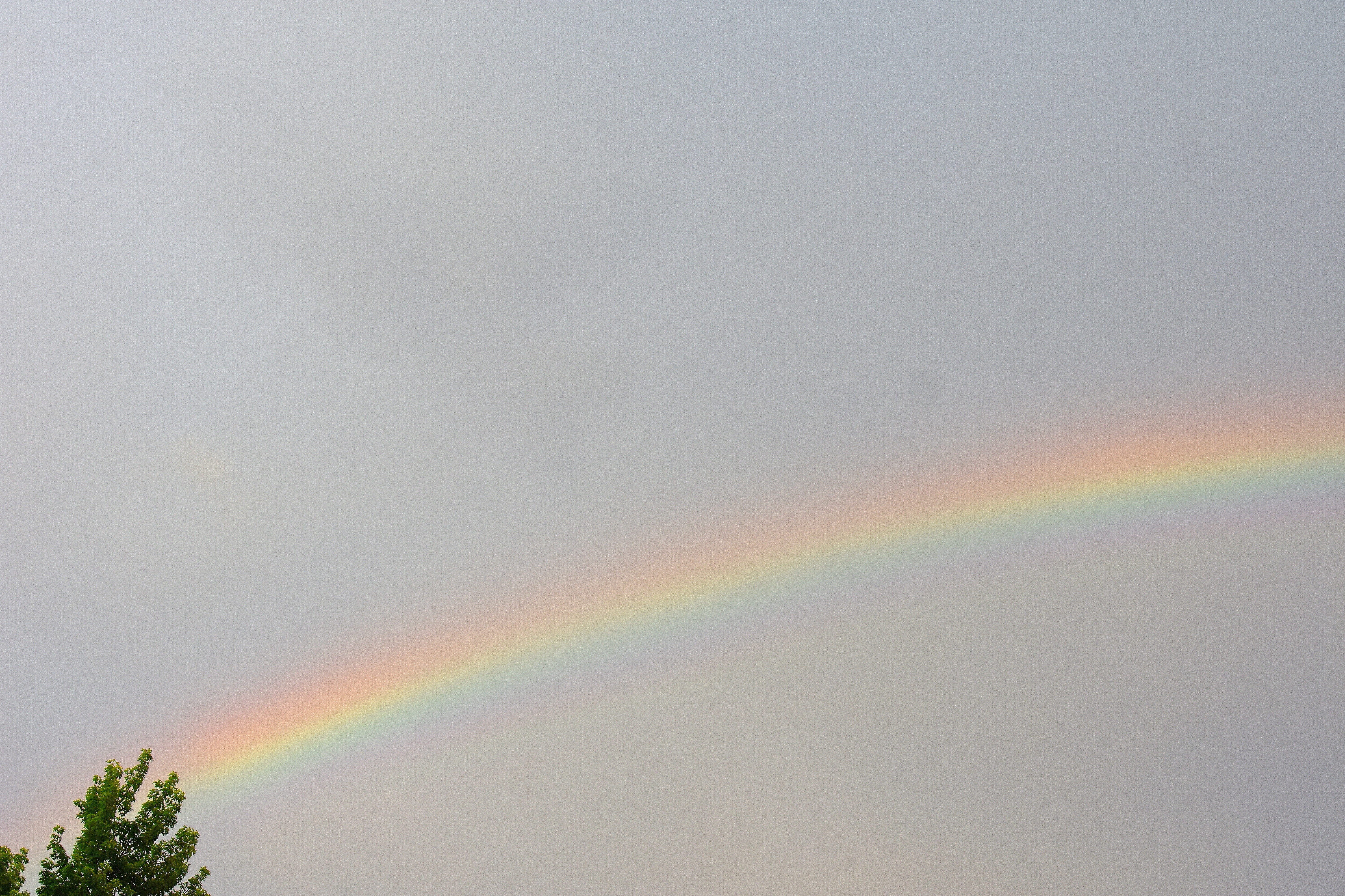 rainbow from my backyard | made w/ Imgflip meme maker