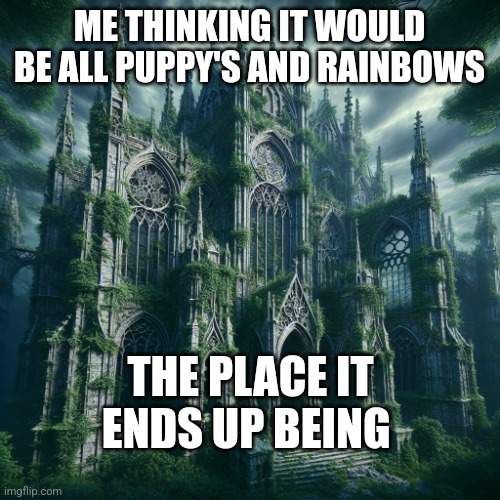 It was all wrong | ME THINKING IT WOULD BE ALL PUPPY'S AND RAINBOWS; THE PLACE IT ENDS UP BEING | image tagged in the place i wanna be | made w/ Imgflip meme maker
