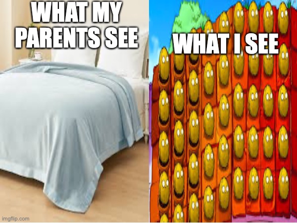 ultimate defense | WHAT MY PARENTS SEE; WHAT I SEE | image tagged in fun | made w/ Imgflip meme maker