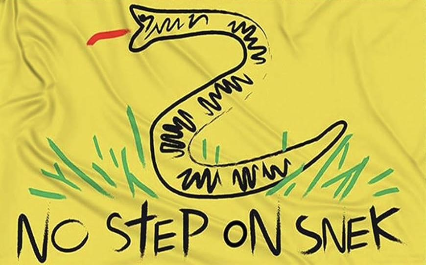 High Quality No step on snek flag Blank Meme Template