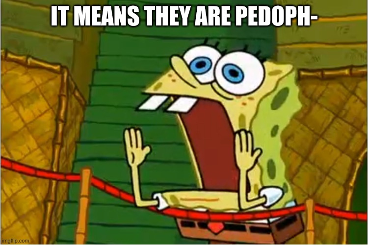 Spongebob Calling Out | IT MEANS THEY ARE PEDOPH- | image tagged in spongebob calling out | made w/ Imgflip meme maker