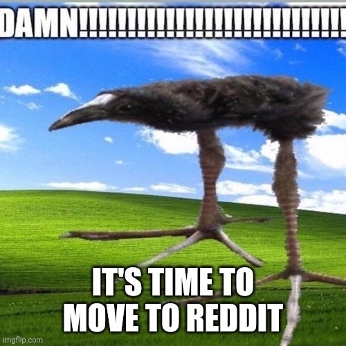 DAMN!!!!!!!!!!!!!!!!!!!!!!!!!!!! | IT'S TIME TO MOVE TO REDDIT | image tagged in damn | made w/ Imgflip meme maker