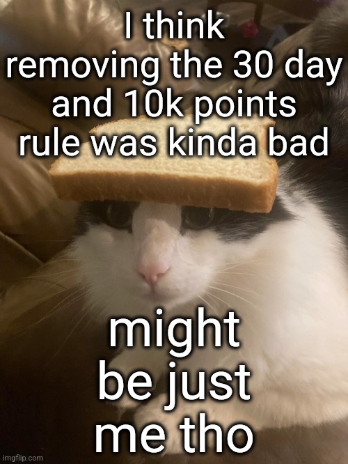 bread cat | I think removing the 30 day and 10k points rule was kinda bad; might be just me tho | image tagged in bread cat | made w/ Imgflip meme maker