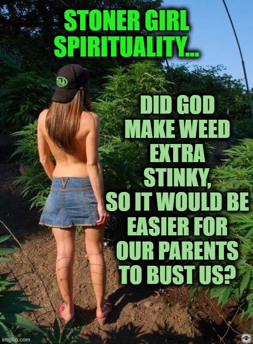 Stoner Girl | STONER GIRL SPIRITUALITY... DID GOD MAKE WEED EXTRA STINKY,
SO IT WOULD BE EASIER FOR OUR PARENTS TO BUST US? | image tagged in stoner girl,weed,stank,philosophy,god | made w/ Imgflip meme maker