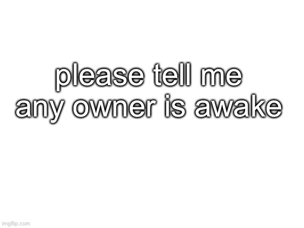 please tell me any owner is awake | made w/ Imgflip meme maker