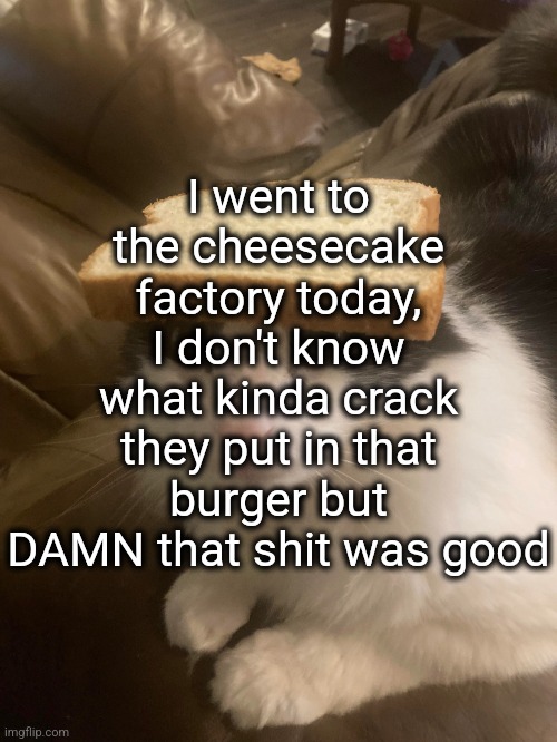 bread cat | I went to the cheesecake factory today, I don't know what kinda crack they put in that burger but DAMN that shit was good | image tagged in bread cat | made w/ Imgflip meme maker