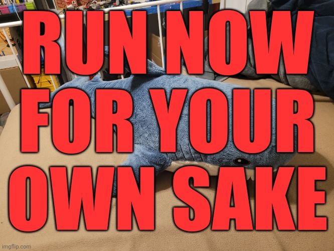 LEAVE RUN DO WHATEVER YOU CAN TO GET AWAY FROM HERE | RUN NOW FOR YOUR OWN SAKE | image tagged in my blahaj | made w/ Imgflip meme maker