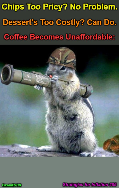 Strategies for Inflation #05 | Chips Too Pricy? No Problem. Dessert's Too Costly? Can Do. Coffee Becomes Unaffordable:; Strategies for Inflation #05; OzwinEVCG | image tagged in memes,bazooka squirrel,life hack,funny,extreme,2020s | made w/ Imgflip meme maker