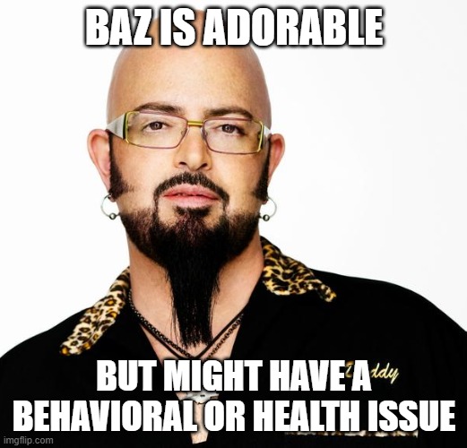 BAZ IS ADORABLE BUT MIGHT HAVE A BEHAVIORAL OR HEALTH ISSUE | made w/ Imgflip meme maker