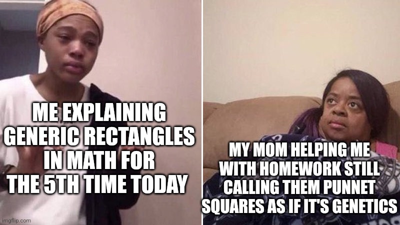 Bruh it's not even that complicated | ME EXPLAINING GENERIC RECTANGLES IN MATH FOR THE 5TH TIME TODAY; MY MOM HELPING ME WITH HOMEWORK STILL CALLING THEM PUNNET SQUARES AS IF IT'S GENETICS | image tagged in me explaining to my mom,math,algebra,i give up | made w/ Imgflip meme maker